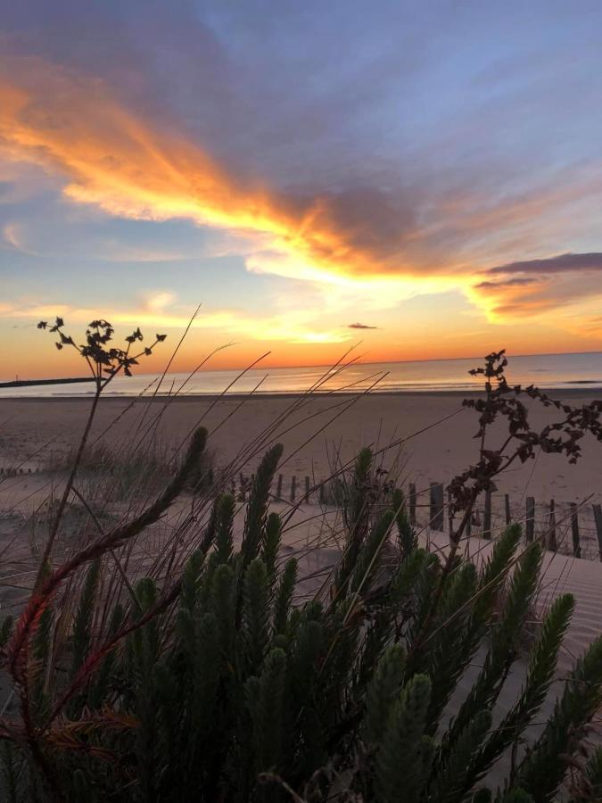 Residence Le Sunset Marseillan-Plage, Entre Mer Et Lagune De Thau, Etape Velo, Famille, Couple, Vrp, Toutou Admis, Jardin, Parking Prive Gratuit, Velos, Clim, Wifi Fibre Gratuite, Commodites, Plage Et Piste Cyclable A Proximite, 6 Couchages Nous Cont Extérieur photo